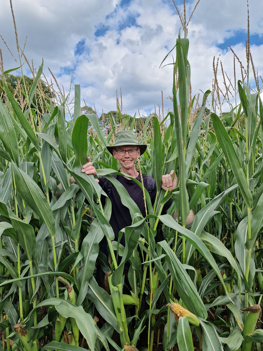 Update: jaw has been agony this week but I've been mobile so that's been a bonus. Painkillers completely ineffective against jaw necrosis so having to just get on with it. Please continue to share and support if you feel inclined. Thank you! gofund.me/ae4b8a2d