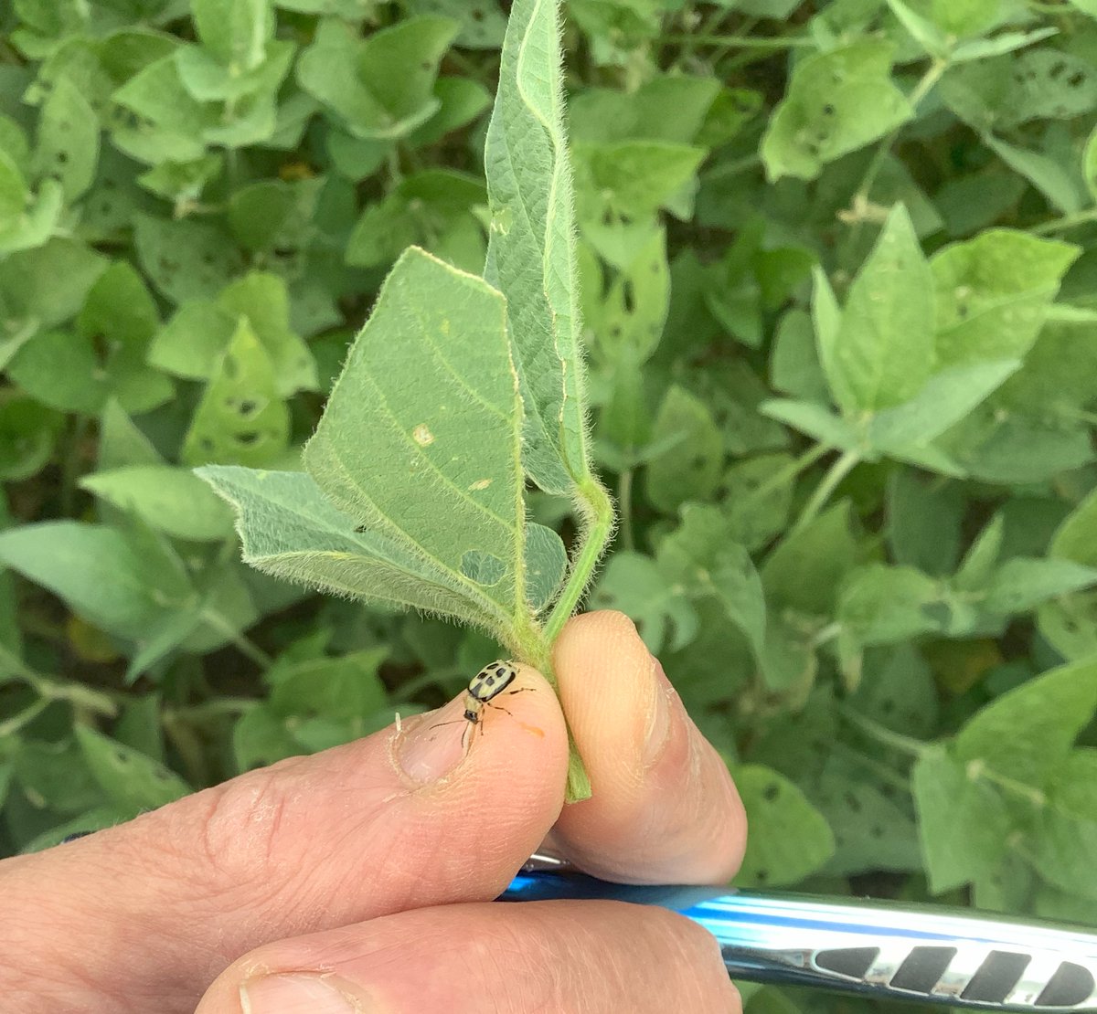 Ag Business and Crop tweet media