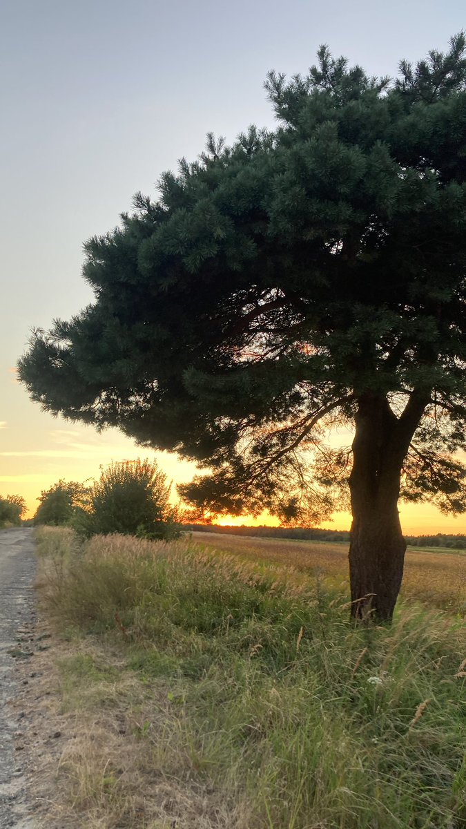 noubase's tweet image. Гарний день