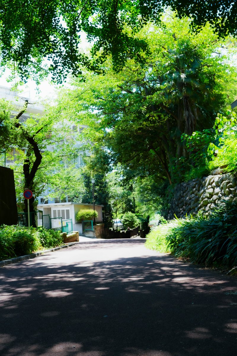 サクヤ tweet media