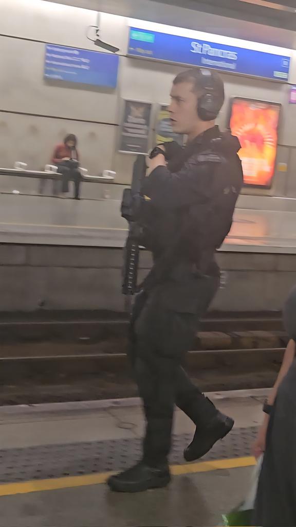 Armed police storm the train at St Pancras