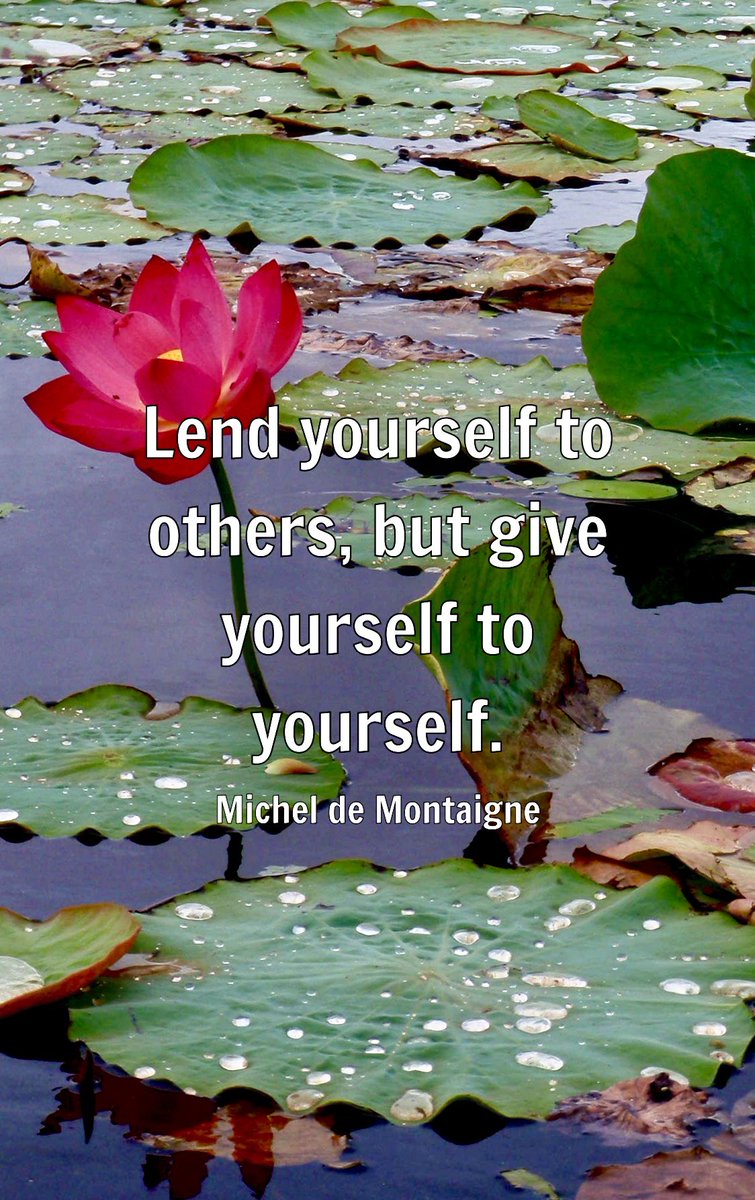 Quote of the day… 🩷