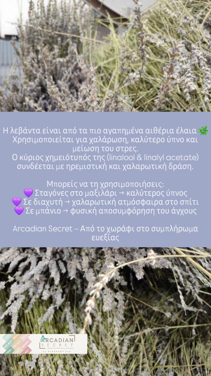 ALEXPANT_Ltd's tweet photo. https://t.co/2vAPccCSlq
