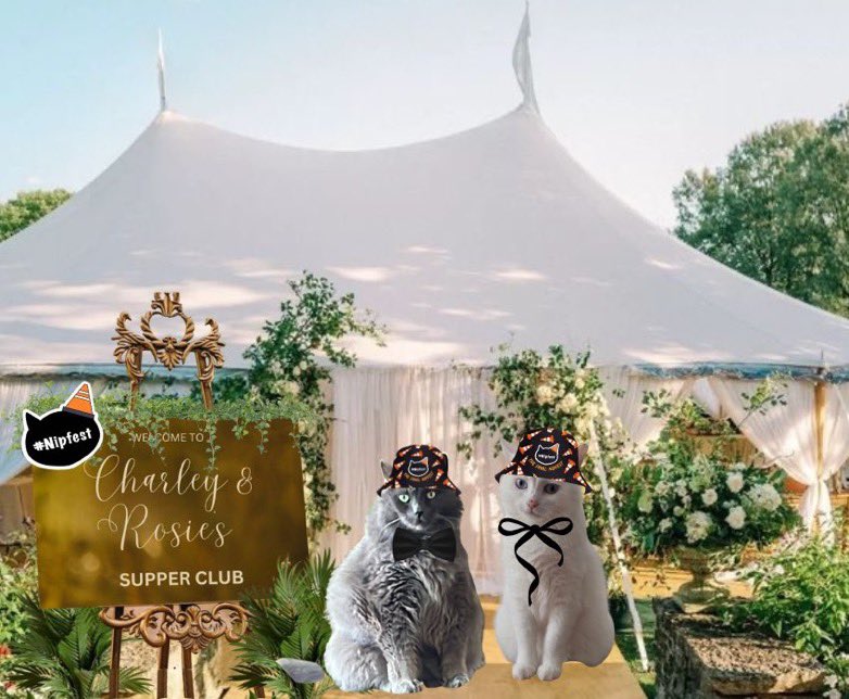 philduthie🌈⚽️🇺🇦🏴🏳️🌈 (@philduthie) on Twitter photo #SupperClub
#Nipfest2025
<a href="/parsleysmum/">Ollie the Pappy & Cleo Kitty</a>
Ross and Cleo arriving at the Supper Club!
Thanks #charliebear
.for the photo #SupperClub
#Nipfest2025
<a href="/parsleysmum/">Ollie the Pappy & Cleo Kitty</a>
Ross and Cleo arriving at the Supper Club!
Thanks #charliebear
.for the photo