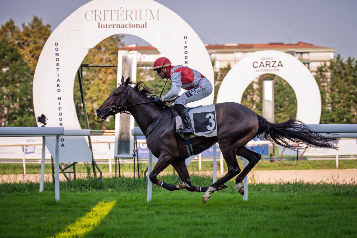 Hipódromo de San Sebastián - Donostiako Hipodromoa tweet media