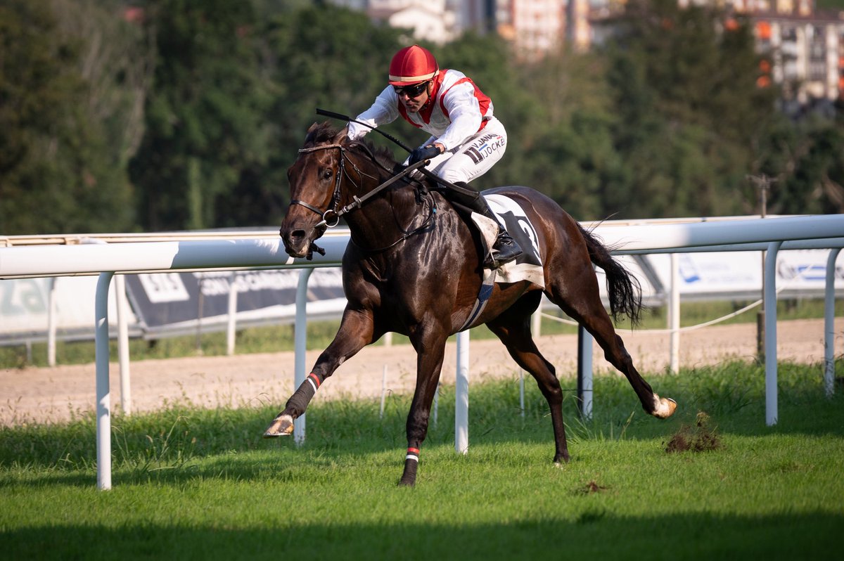 Hipódromo de San Sebastián - Donostiako Hipodromoa tweet media