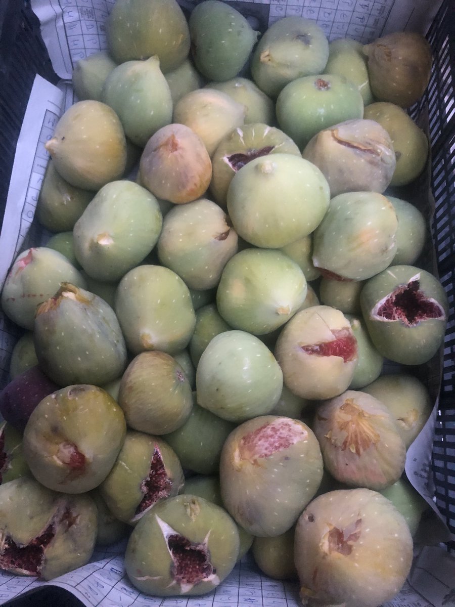 Тамам пијам кафенце, сокче на тераса. Доаѓа другар ми и ми носи подарок смокви од Кучково :) така да од утре работно…