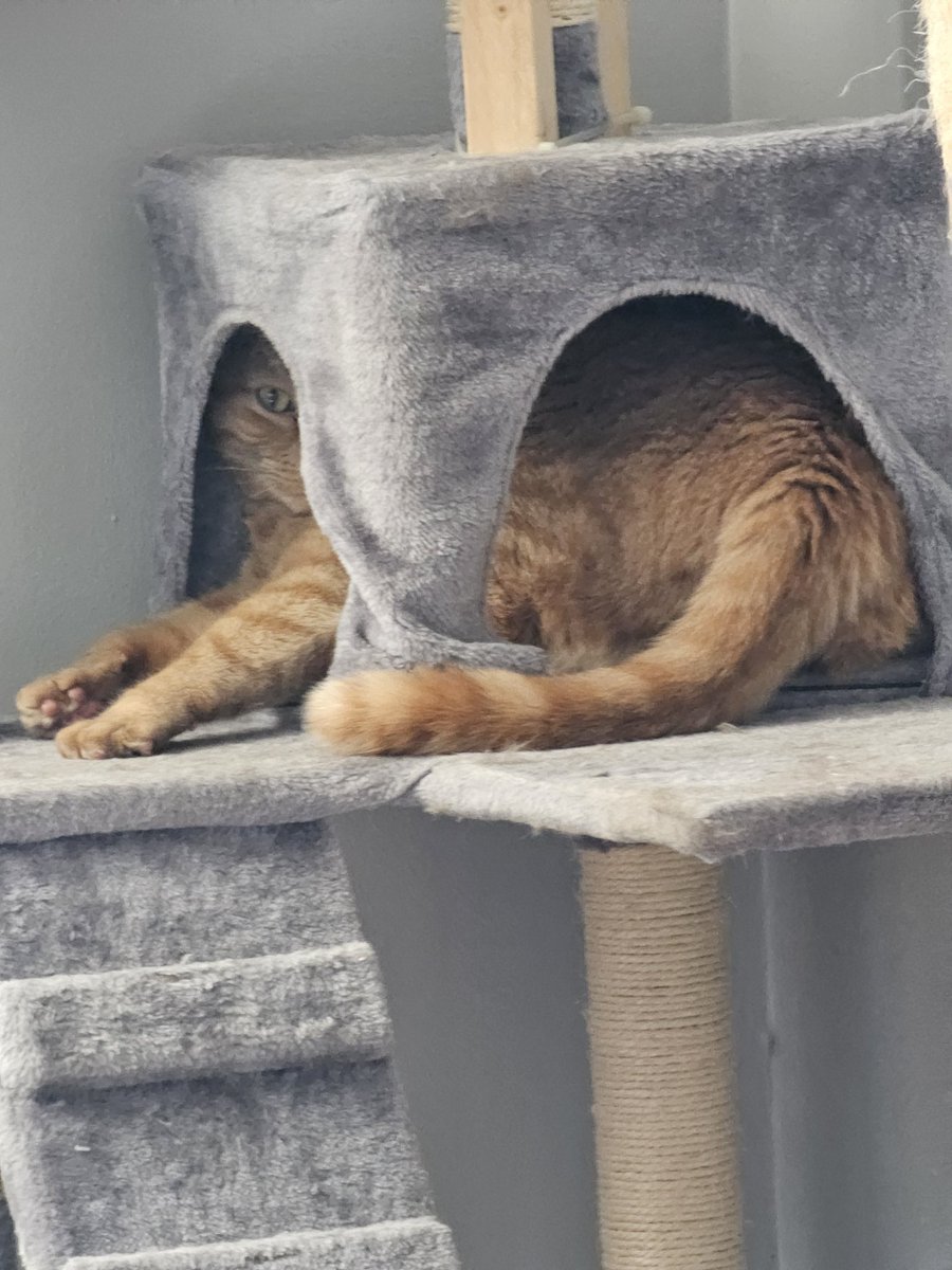 My Boy. Don Molson Luciano.