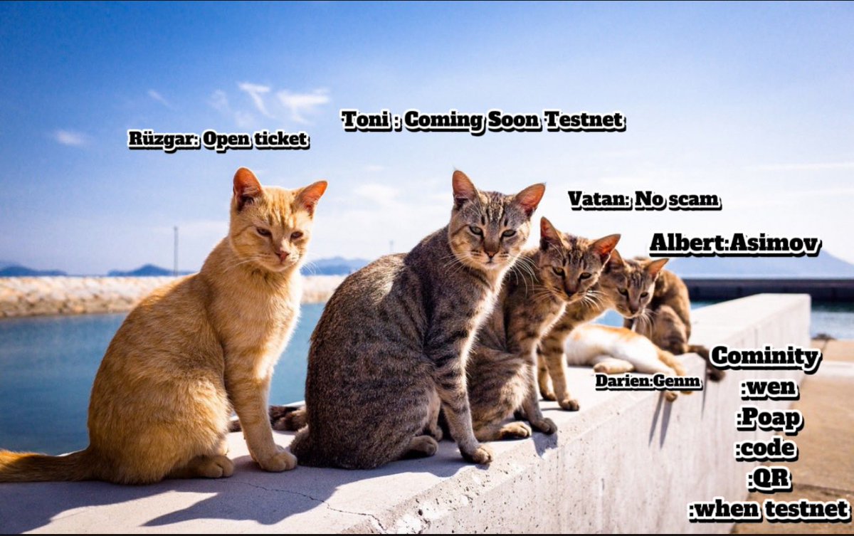 MDemir ๐(ร,G) ๐งโโ๏ธ,๐งโโ๏ธ Anomage ๐งโโ๏ธ,๐ ๏ธโบ (@0xmdemir) on Twitter photo Every Monday 5 PM โ GenLayer AMA
The cats are ready:
โ โwen?โ โ๏ธ โPOAP?โ โ๏ธ โcode?โ โ๏ธ โwhen testnet?โ โ๏ธ
Us: furiously taking notes like itโs finals. ๐ผ๐
<a href="/GenLayer/">GenLayer ๐ง </a> Every Monday 5 PM โ GenLayer AMA
The cats are ready:
โ โwen?โ โ๏ธ โPOAP?โ โ๏ธ โcode?โ โ๏ธ โwhen testnet?โ โ๏ธ
Us: furiously taking notes like itโs finals. ๐ผ๐
<a href="/GenLayer/">GenLayer ๐ง </a>