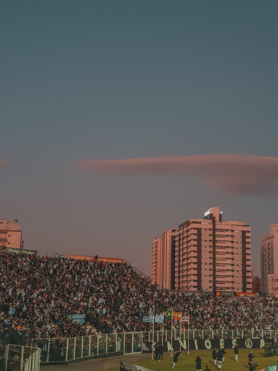 Comemorei a permanência, sim. Podem tirar sarro à vontade. Se foi essa a situação que o clube se colocou, o que nos resta é torcer.

Cair pra Série D seria catastrófico em todos os sentidos.

Com uma dívida absurda e um extracampo vergonhoso que nem resolve a RJ, seria o fim.