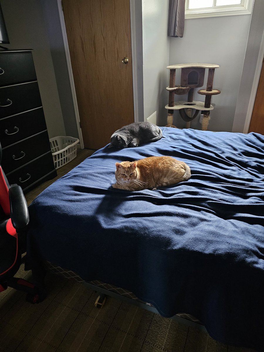 Angus Anastasia and Bernard Linguine.