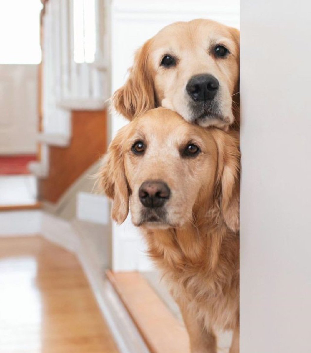 can we both come inside ❤️❤️