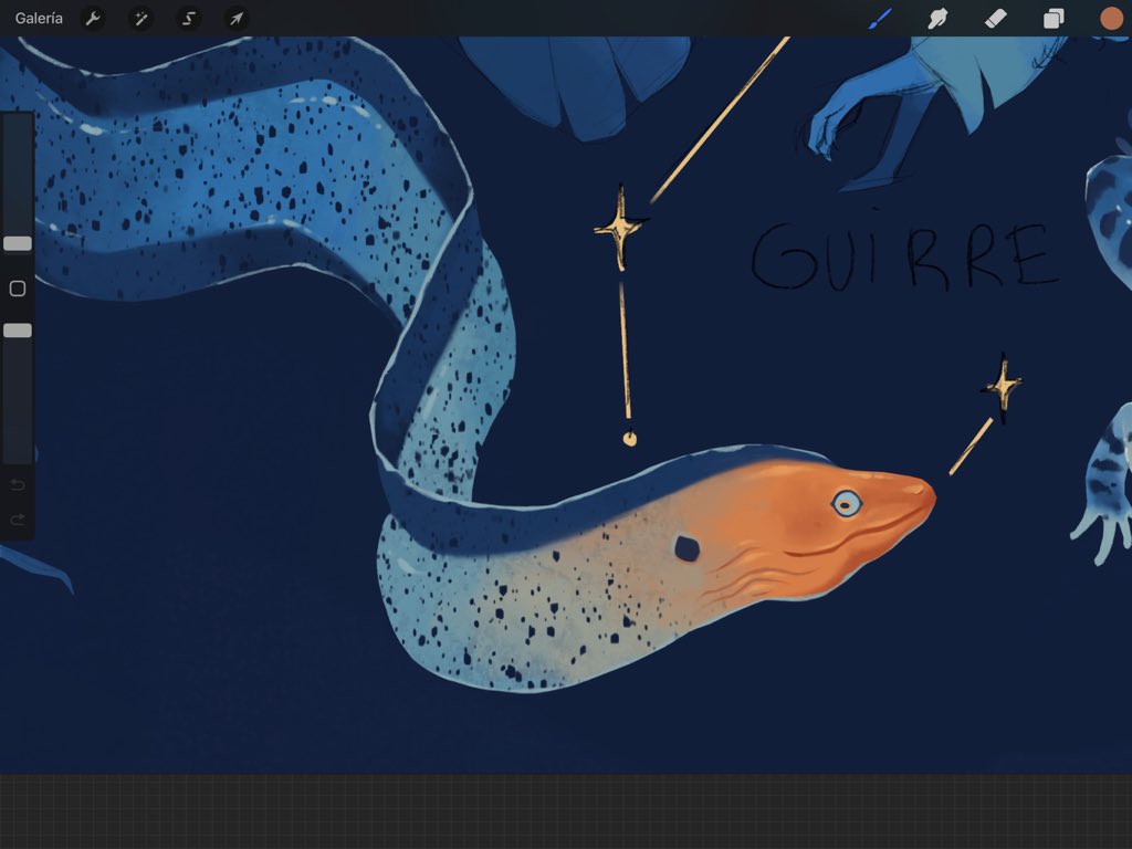 I love the moray eel