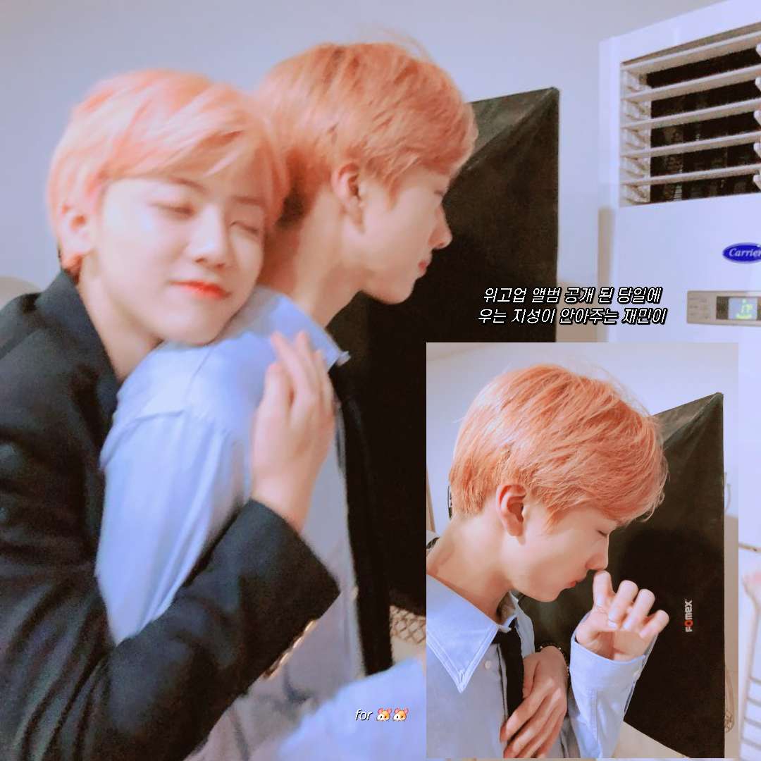 햄앤햄즈 아카이브 tweet media