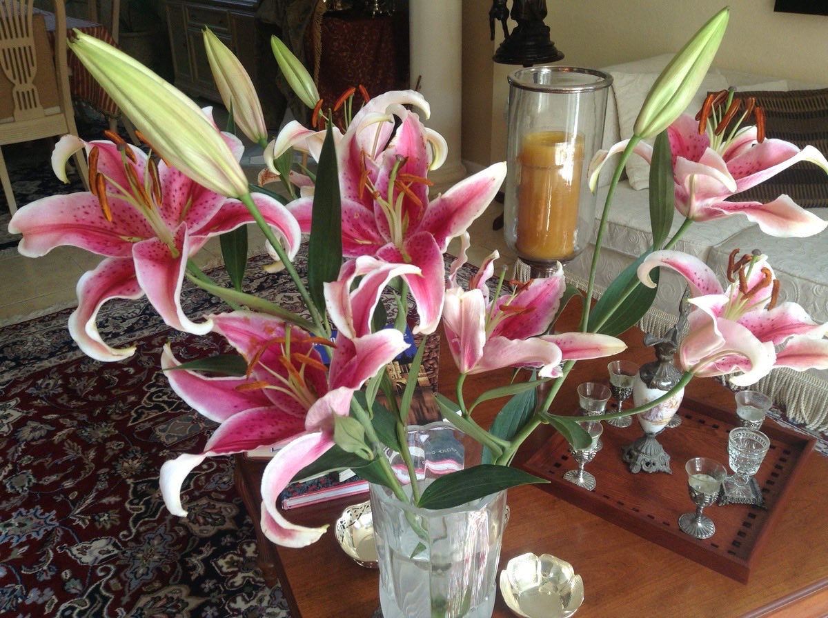 , (@cokkyoruldukk) on Twitter photo 