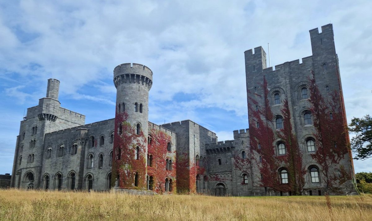 Harriet Cornwell tweet media