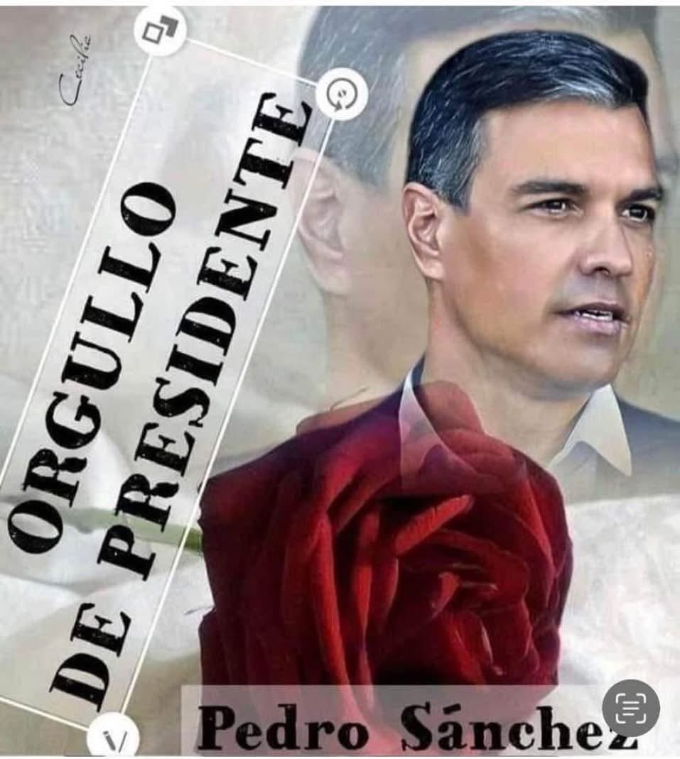 #YoConPedro 🌹🌹🌹🌹🌹🌹