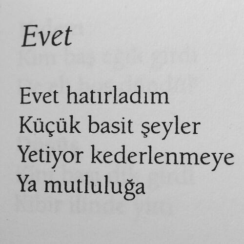 ekmekvemushaf's tweet image. "Küçük basit şeyler / yetiyor kederlenmeye."