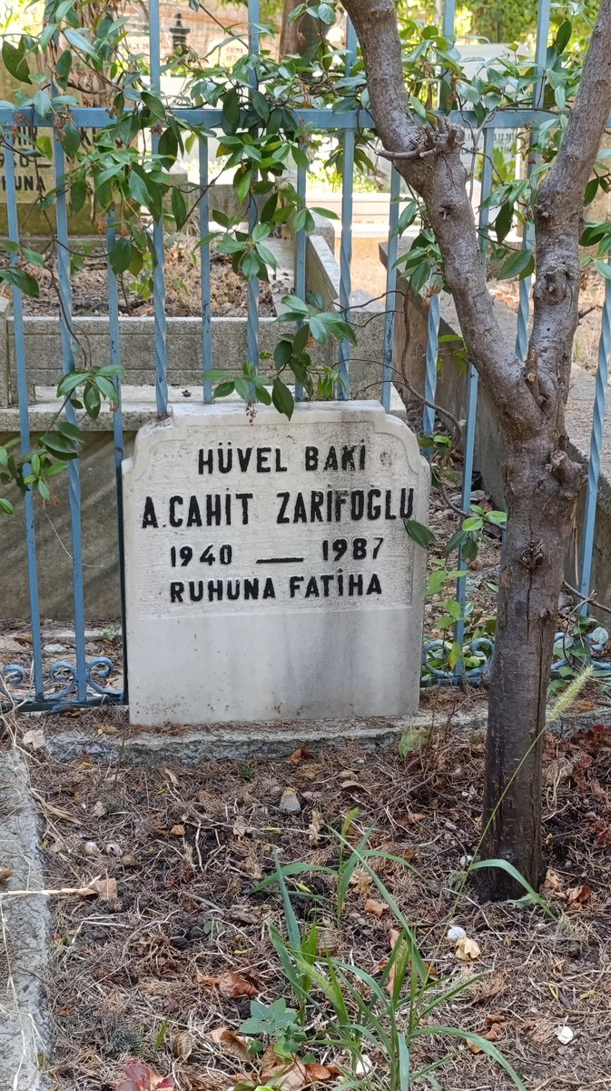 ekmekvemushaf's tweet image. "Küçük basit şeyler / yetiyor kederlenmeye."