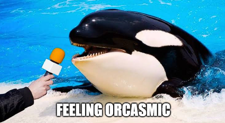 feeling orcasmic about the future