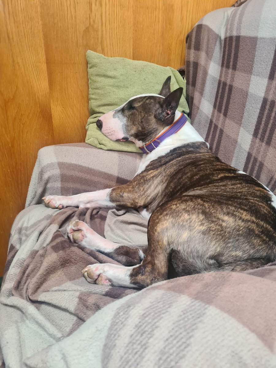 Luna loving boat life