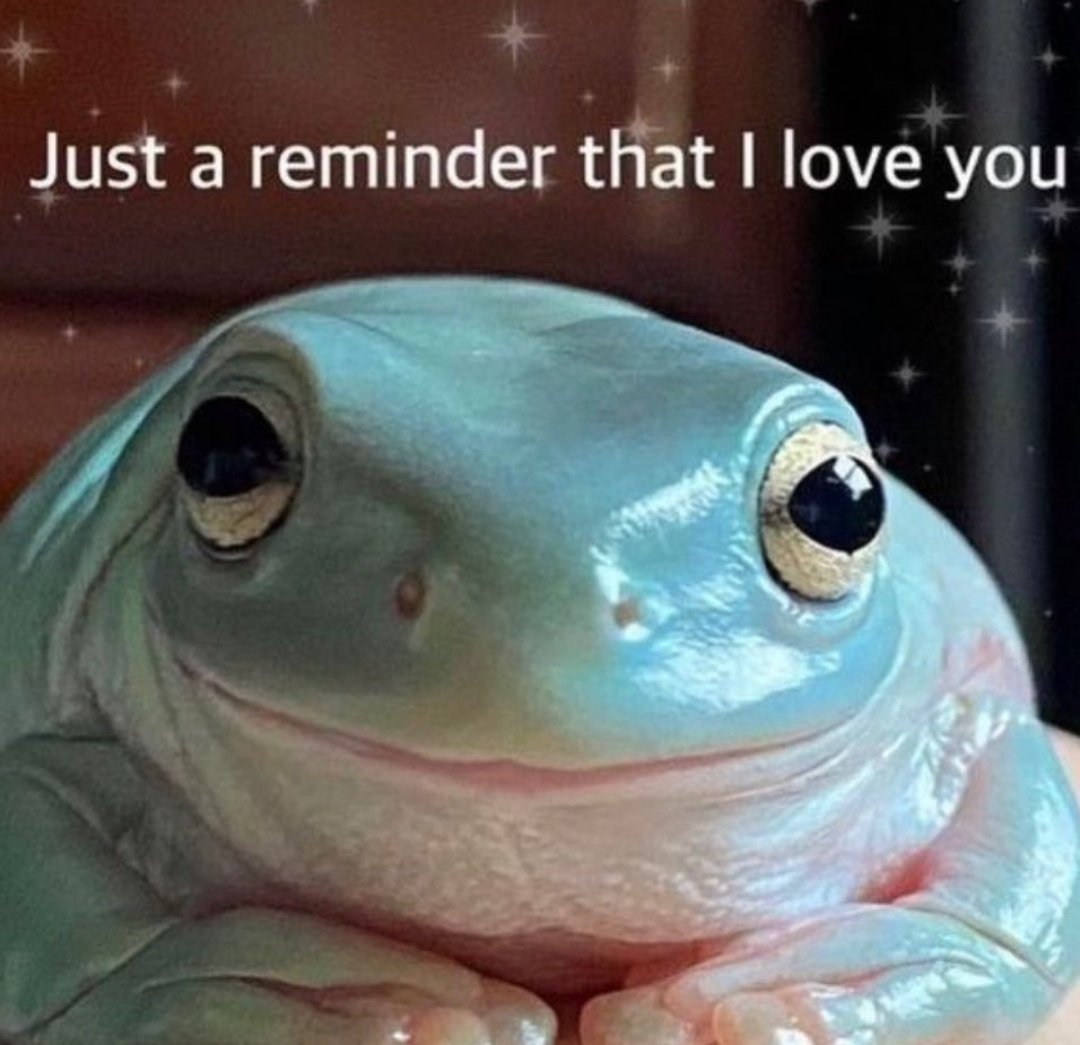 No Context Frogs (@nocontextfrogs) on Twitter photo 
