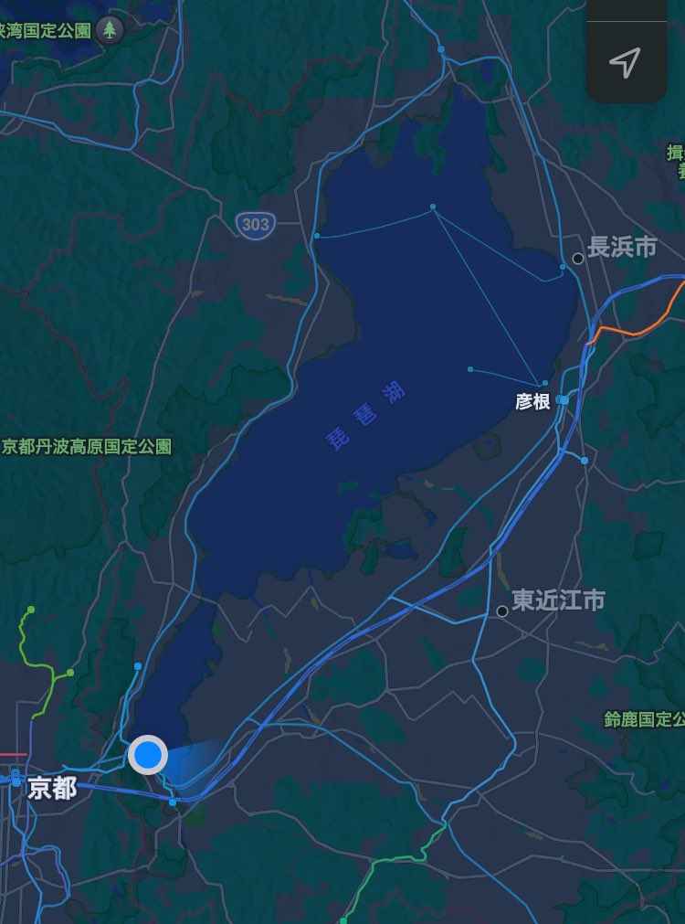 猫の尻尾で就寝🛌