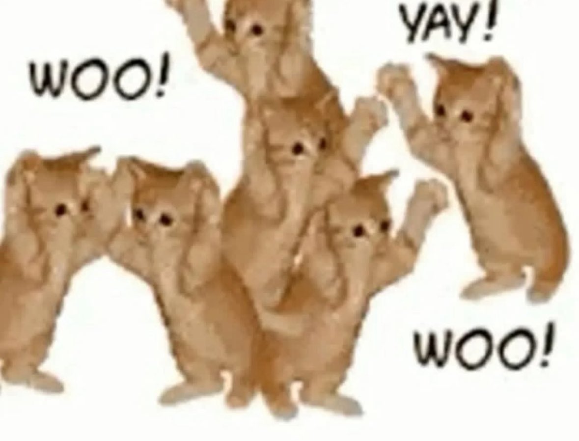 LiterallyMeCats tweet media