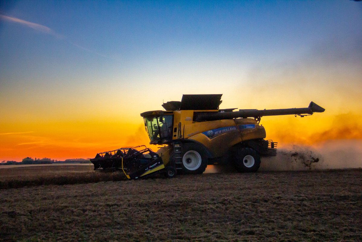 Chelsea and Shane (@trueseedsltd) on Twitter photo #harvest2025 has begun!
Our yellow AAC Julius peas were standing tall and are now in the bins!
Moving on to our green peas! The varieties will be CDC Huskie and CDC Rider peas. We will keep you posted on how those come off!
Happy harvest!
<a href="/FPGenetics/">FP Genetics</a>
#choosecertifiedseed #harvest2025 has begun!
Our yellow AAC Julius peas were standing tall and are now in the bins!
Moving on to our green peas! The varieties will be CDC Huskie and CDC Rider peas. We will keep you posted on how those come off!
Happy harvest!
<a href="/FPGenetics/">FP Genetics</a>
#choosecertifiedseed