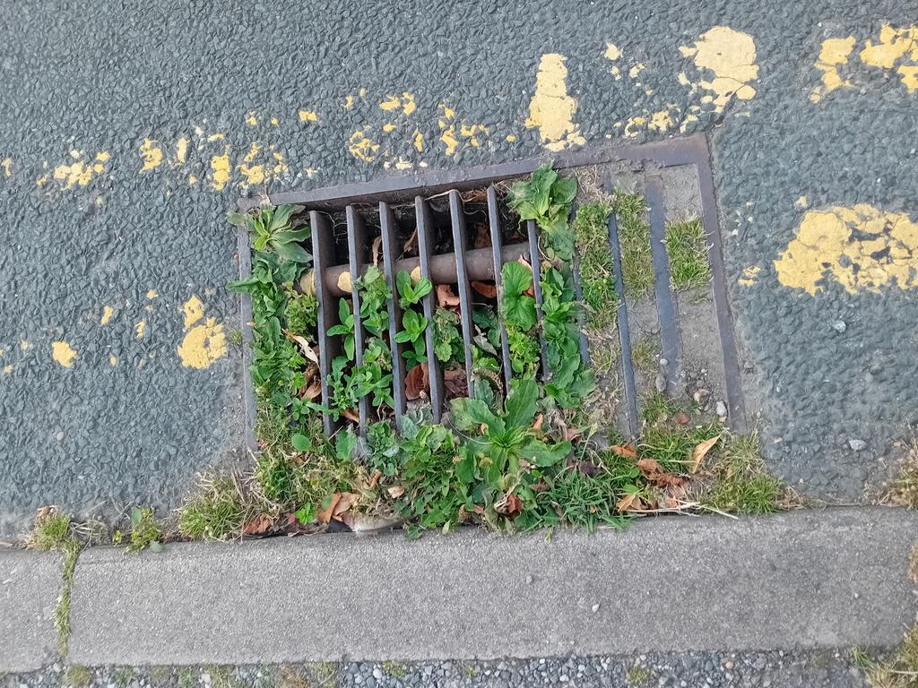 Archie Workman tweet media