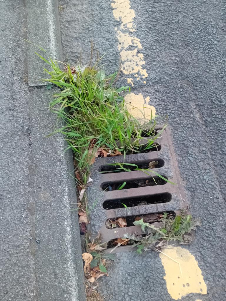 Archie Workman tweet media