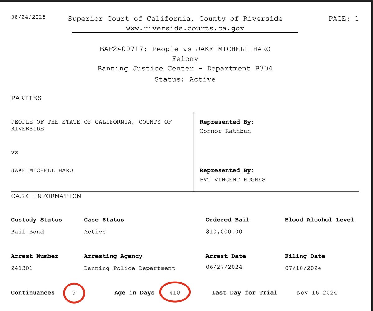 If the Court had not allowed the system to be manipulated, as it so often is, Jake Haro would have been incarcerated and unable to murder Emmanuel Haro (if he is guilty as charged). Jake was arrested by the Hemet Police Department for felony child cruelty on October 12, 2018. The