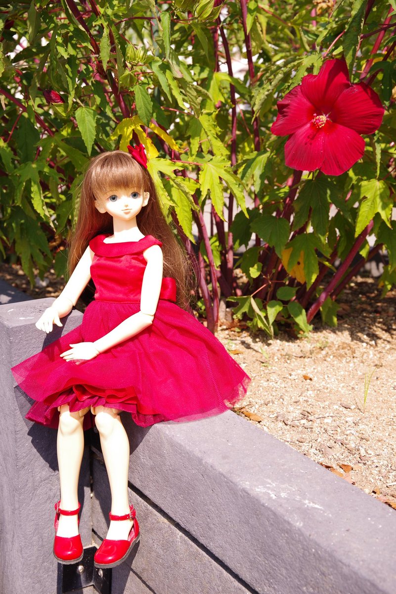 皆さま
おはようございます😊
今週もよろしくお願いします✌️
マリータさんと短時間ですが撮影を楽しんで来ました🌻