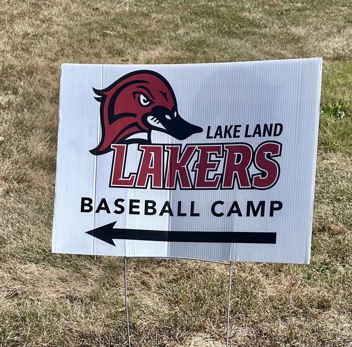 Nathan Olivares tweet media