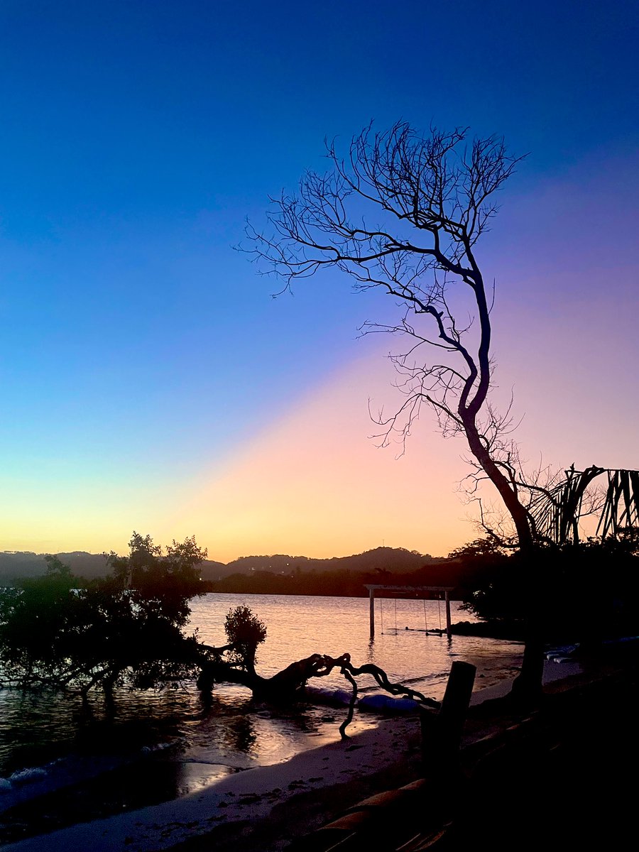 Warkez87's tweet image. También así se ve parte de la inspiración en @infinitacity  estás rodeado de muchos bellos atardeceres y contrastes, escalas de tonos turquesas en el Mar, también rodeado de mucha gente brillante que inspira a crear 

#inspiración #arte #prospera #Infinitacity #roatan