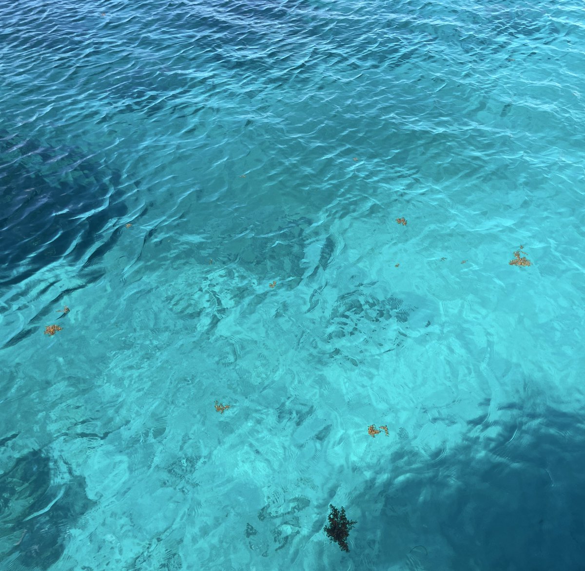 Warkez87's tweet image. También así se ve parte de la inspiración en @infinitacity  estás rodeado de muchos bellos atardeceres y contrastes, escalas de tonos turquesas en el Mar, también rodeado de mucha gente brillante que inspira a crear 

#inspiración #arte #prospera #Infinitacity #roatan