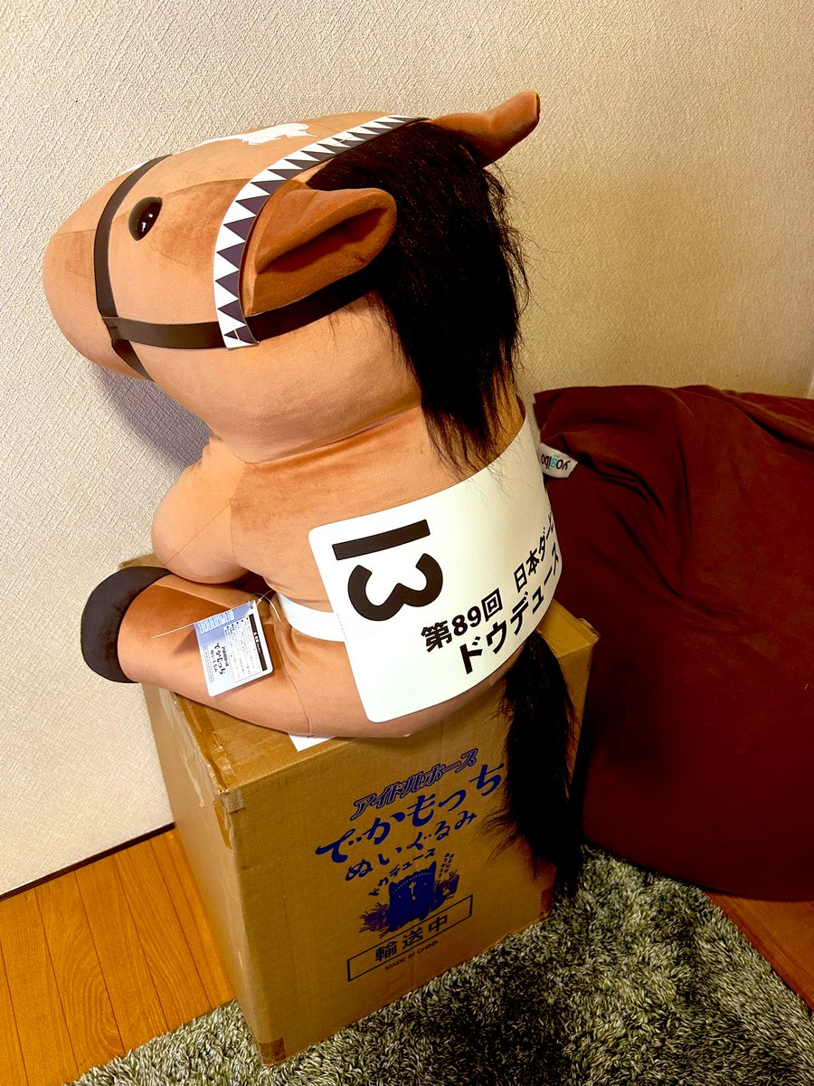 記憶に無い宅配便に頭混乱おはようございます🐔

今年のお正月酔いどれ中に勢いでポチったモノが着いた様ですw
よく考えたらぬいぐるみとか生涯買った事ないですしデカすぎてちょっとなww

とりあえず箱の上に載っててもろて（仮）

ハナハナ打ちながら男の家のぬいぐるみの最適解を考えるとします🍗←