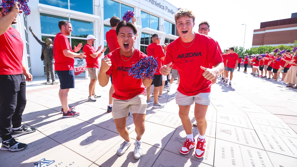 and just like that, the CATS ARE BACK.