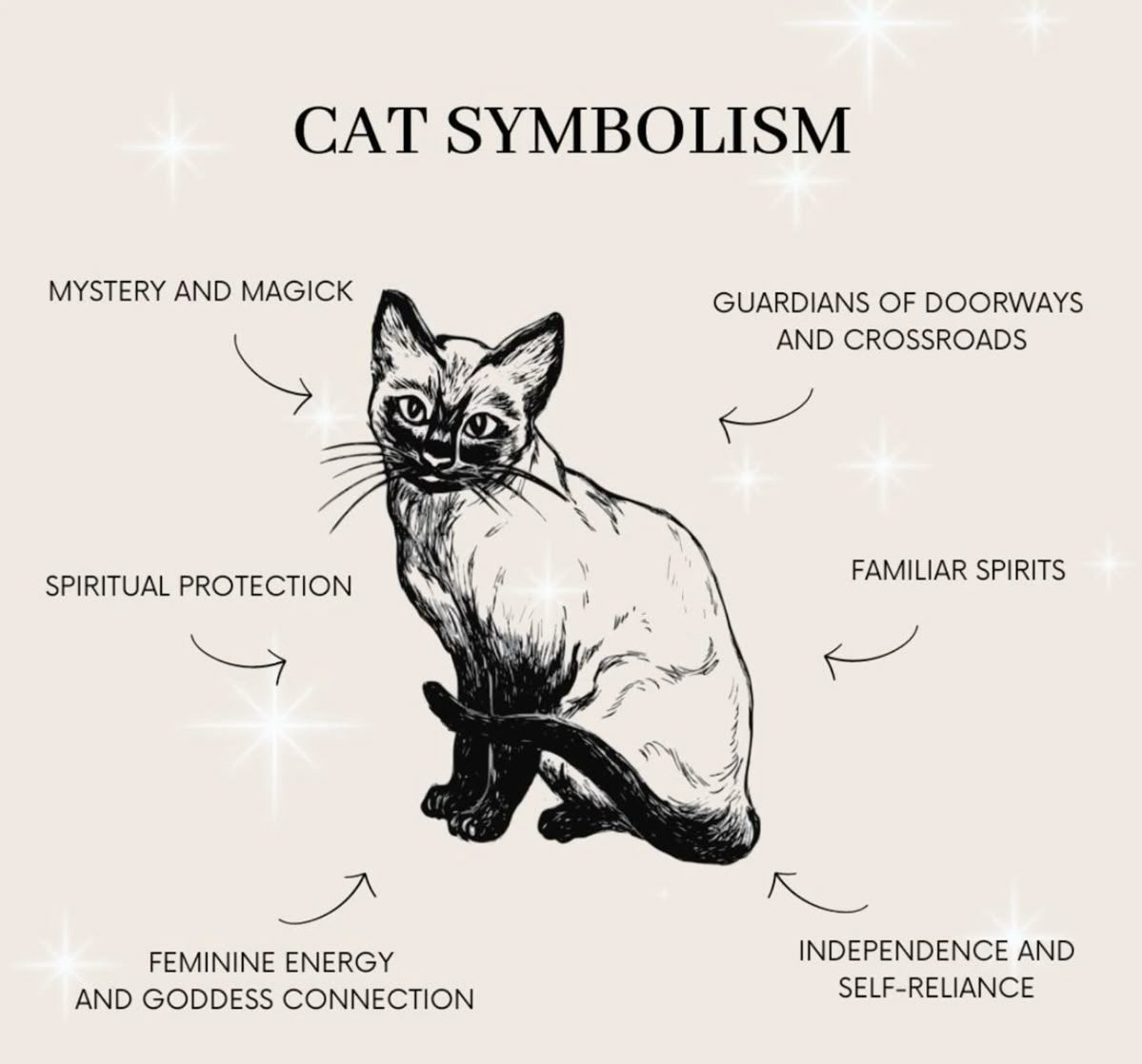 Blacks cats are always good luck to me