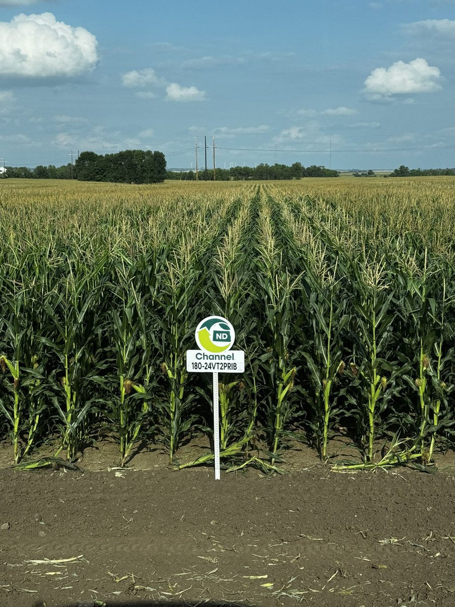 Lonetree Seed Products tweet media