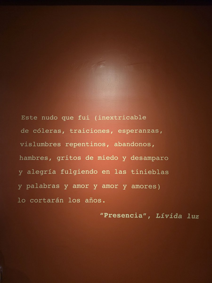 ❤️‍🔥🖋📖 
El mundo que venía como un pájaro
 se ha posado en mi hombro
y yo tiemblo lo mismo que una rama
bajo el peso del canto
y del vuelo un instante detenido.
-Rosario Castellanos