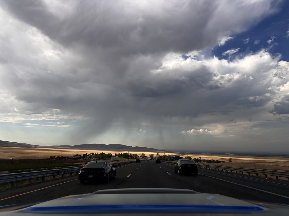 CaLandBird's tweet image. I-5 North #grapevine #CAwx