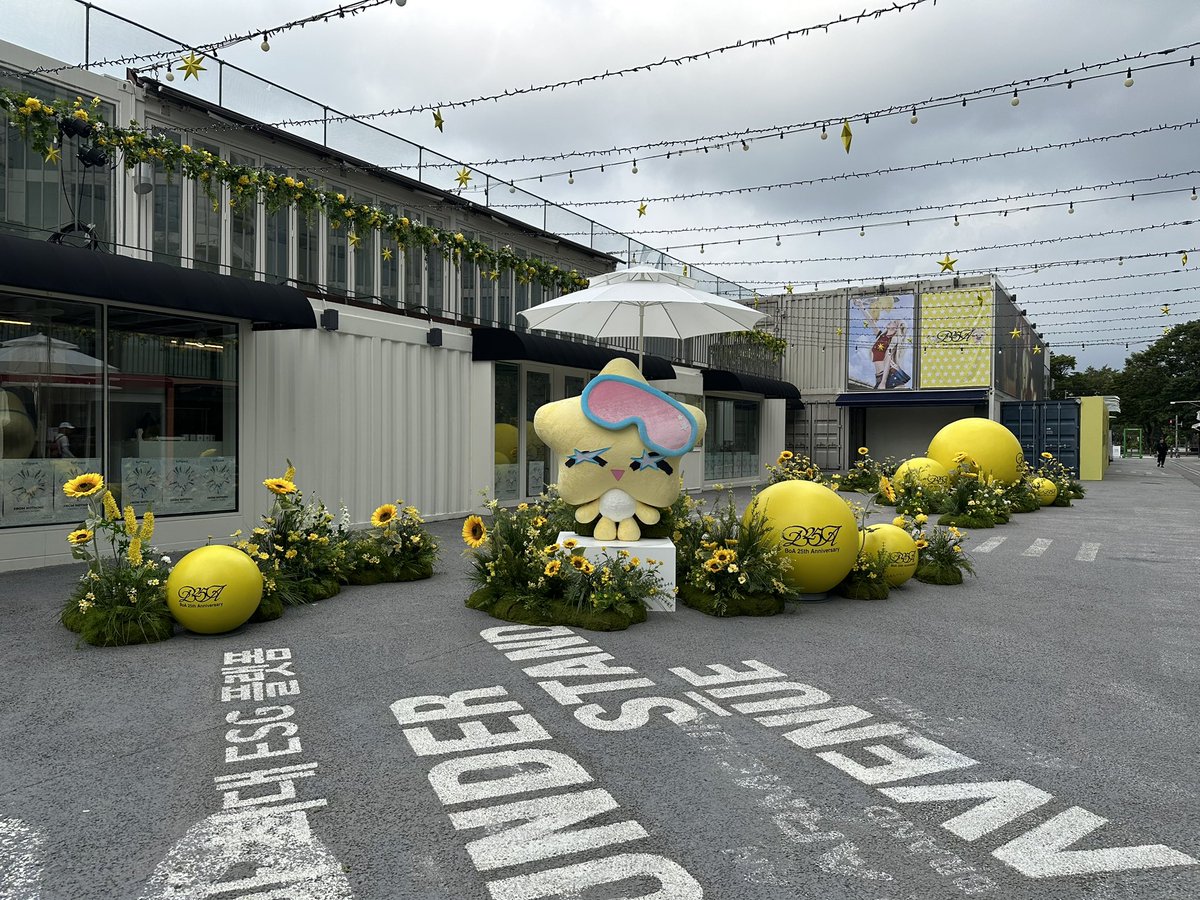 kingonni's tweet image. 슴 사옥 옆에 보아로 꾸며졌다~~ 넘 이뽀~~ 보덕들 모여라?