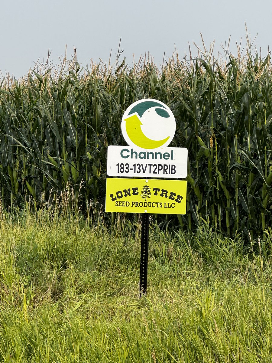 Lonetree Seed Products tweet media