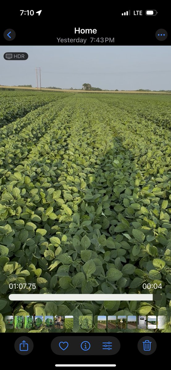 Lonetree Seed Products tweet media