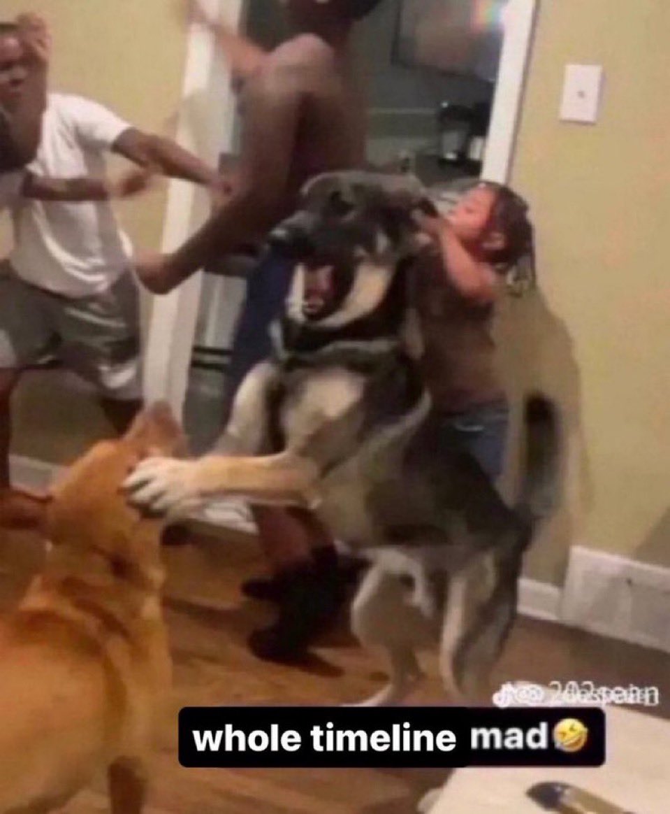 everyday logging on to carpenter twt