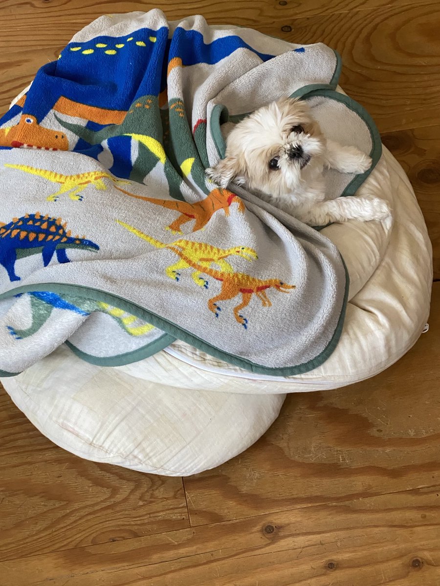 今日のおすすめ画像