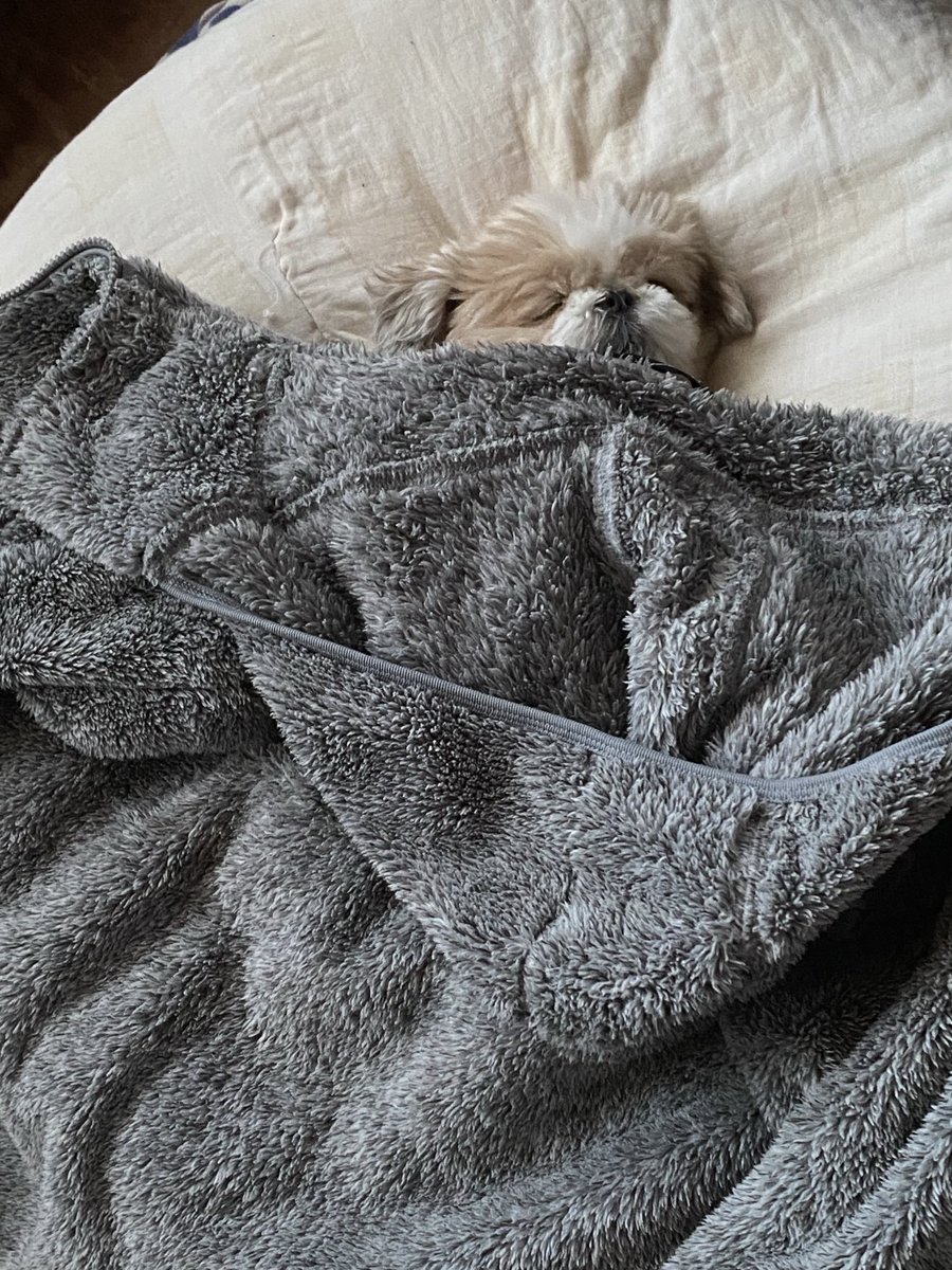 今日のおすすめ画像