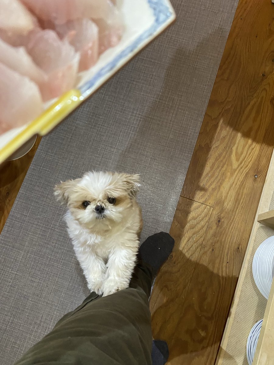 今日のおすすめ画像