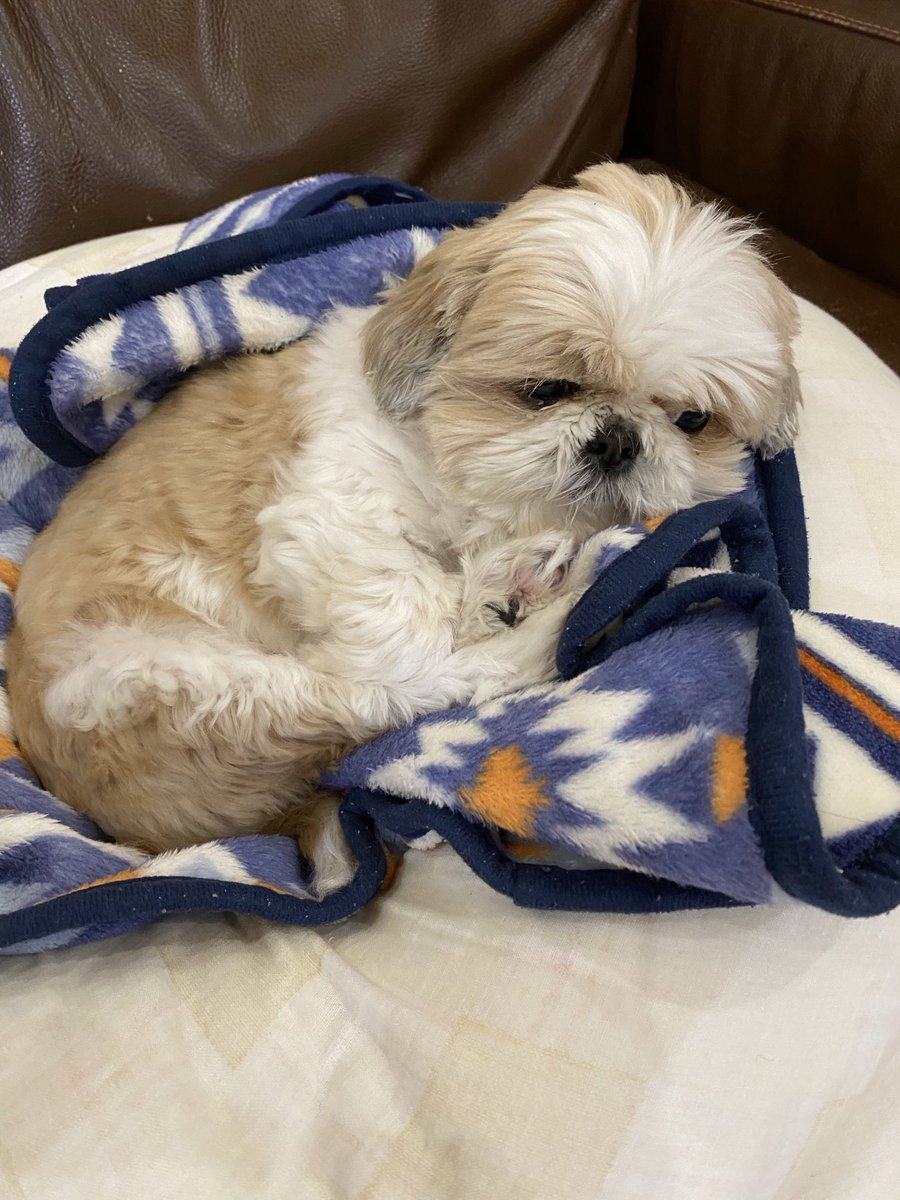 今日のおすすめ画像